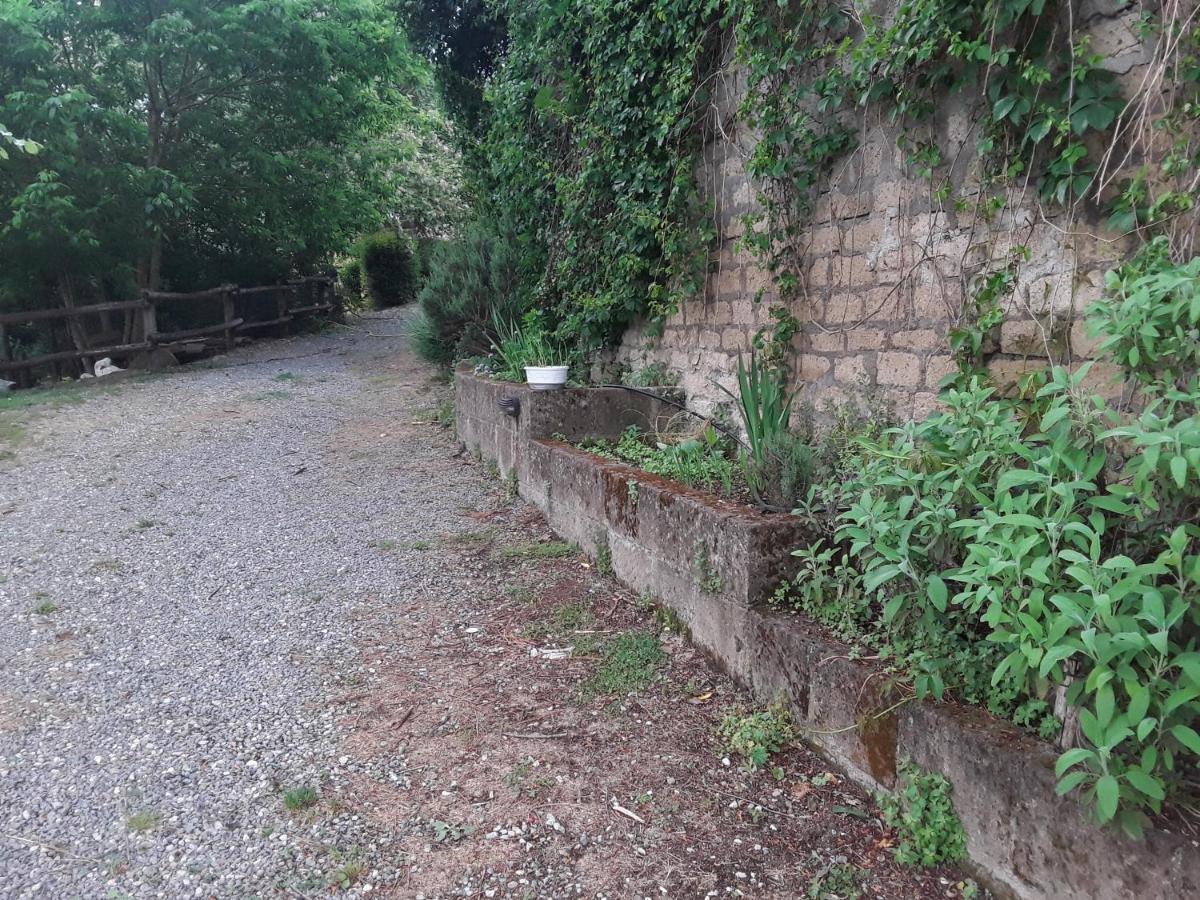 Il Sentiero Villa Acquapendente Exterior photo